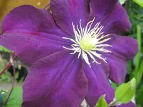 086.webp