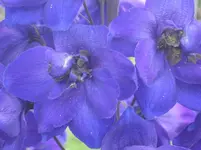 034.webp