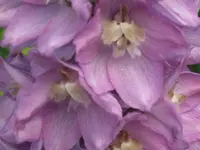 037.webp
