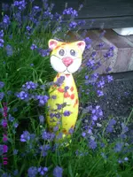 Katze.webp