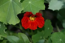DSC03223.webp