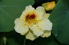 DSC03230.webp