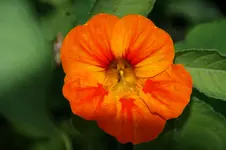 DSC03231.webp