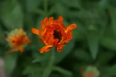 DSC03224.webp