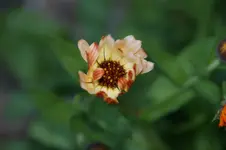 DSC03227.webp
