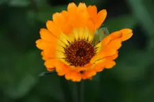 DSC03229.webp