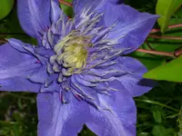 DSCI0984.webp