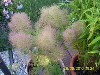 PIC_0023.webp