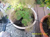 PIC_0024.webp