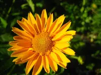IMG_1639.webp