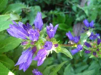 IMG_1640.webp