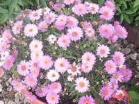 26.06.2010 006.webp