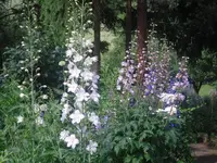 26.06.2010 007.webp