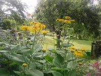 26.06.2010 029.webp