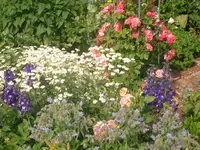 26.06.2010 027.webp
