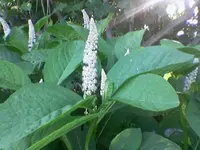 Foto(283).webp