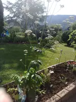 27062010785.webp