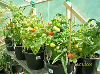 100_1107.webp