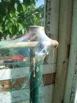 IMGP3968.webp