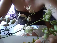 Snapshot_20100627_1.webp