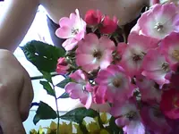 Snapshot_20100627_5.webp