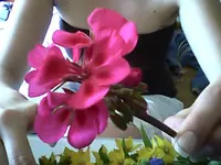 Snapshot_20100627_6.webp