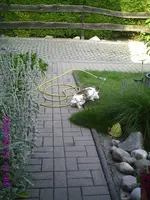 PIC00656.webp