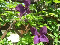 024.webp