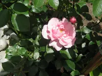 012.webp