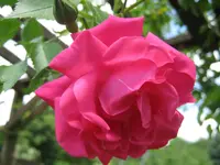 022.webp