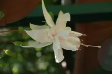 DSC03250.webp