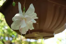 DSC03252.webp