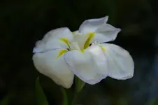 DSC03248.webp