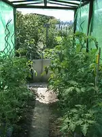 DSC00034.webp
