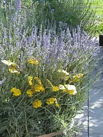 DSC00016.webp