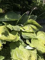 DSC00021.webp