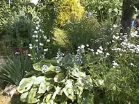 DSC00013.webp