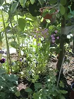 DSC00010.webp