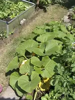 DSC00014.webp