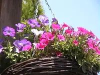 DSC00027.webp