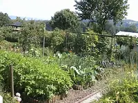 DSC00039.webp
