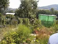 DSC00040.webp