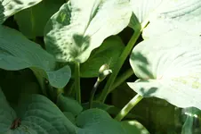 DSC03244.webp