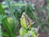 IMG_6604_1024x768.webp