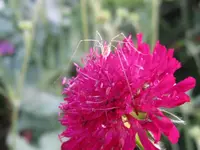 IMG_6602_1024x768.webp