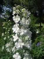 27-06-2010 005.webp