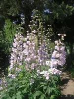 27-06-2010 006.webp