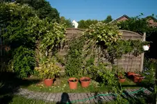 MK4_3967.webp