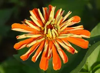 IMG_3207.webp