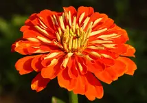 IMG_3204.webp